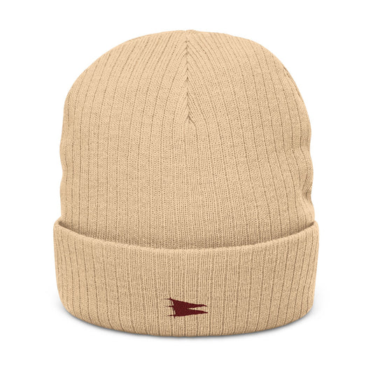 Warning Pennant Ribbed Beanie | Heritage