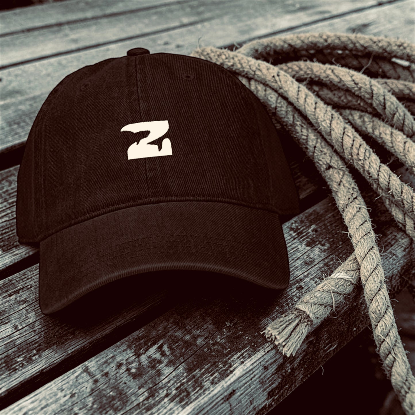 HTRZ Field Cap | Essentials