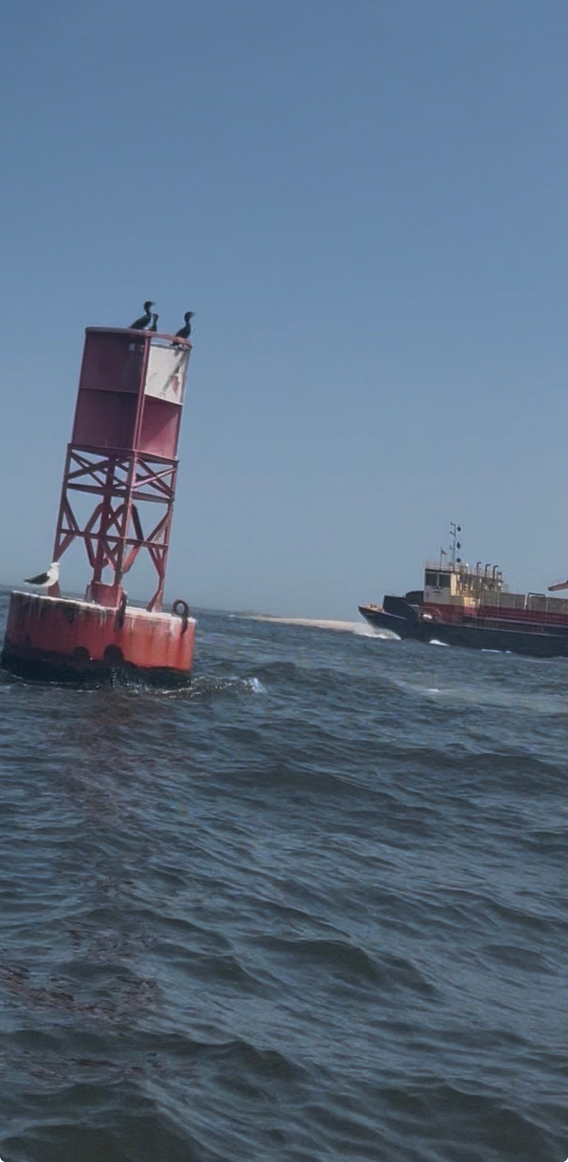 Buoy 14 | Decal