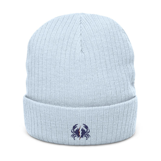 Breaker Ribbed Beanie | Standard Issue